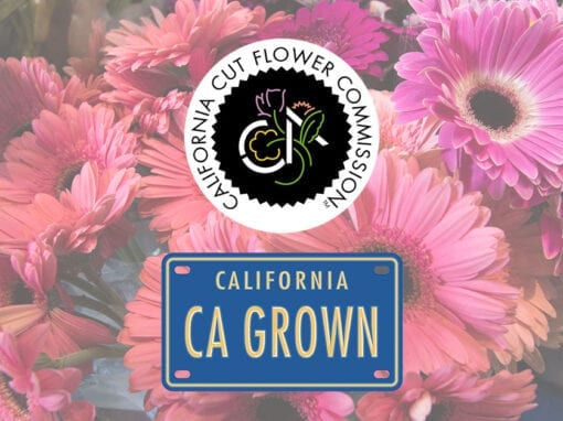 California Cut Flower Commission