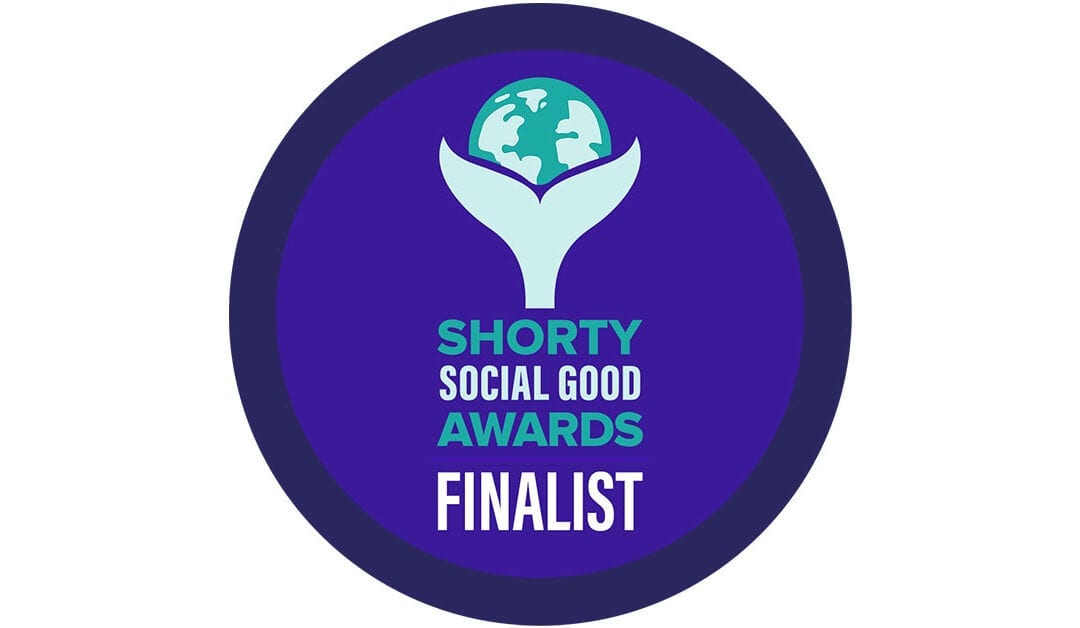 PRESS RELEASE: Rock Harbor Marketing selected as Finalist for Best ‘On A Shoestring’ in the Shorty Social Good Awards