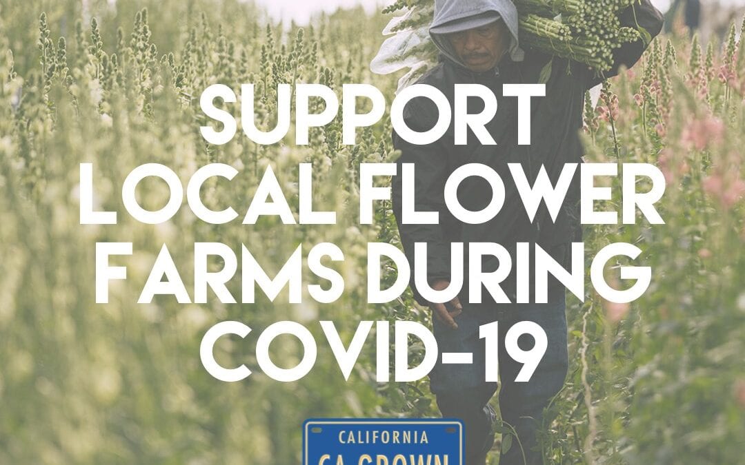 Protected: Saving The California Flower Farmers