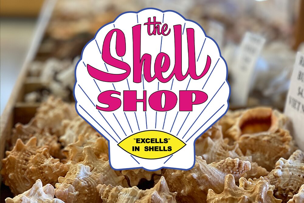 Shell Shop Morro Bay