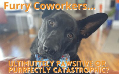 Furry Coworkers – UltiMUTTely PAWsitive or PURRfectly CATastrophic?
